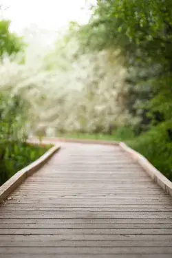 Boardwalk Digital Photography Background Set of 2, Boardwalk with Greenery, Digital Backdrops, Photo Composite, Photoshop Background, Summer