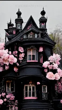 Black and pink house