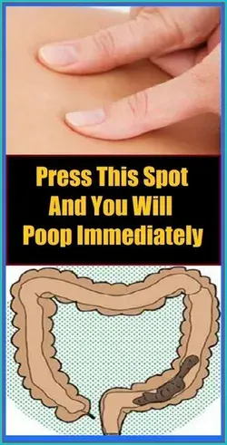 Press This Spot And You Will Poop Immediately!!