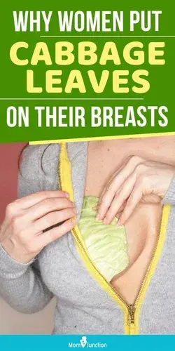 The Reason Why Women Put Cabbage Leaves On Their Breasts Will Surprise You!