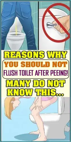 Reasons Why You Should Flush Toilet After Peeing May Do Not Know This