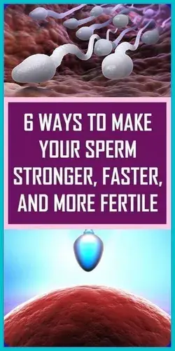 6 Ways To Increase Sperm Count And Improve Male Fertility