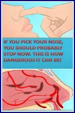 IF YOU PICK YOUR NOSE, YOU SHOULD PROBABLY STOP NOW. THIS IS HOW DANGEROUS IT CAN BE