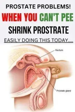 Finally The Best Remedy To Shrink Enlarged Prostate Overnight