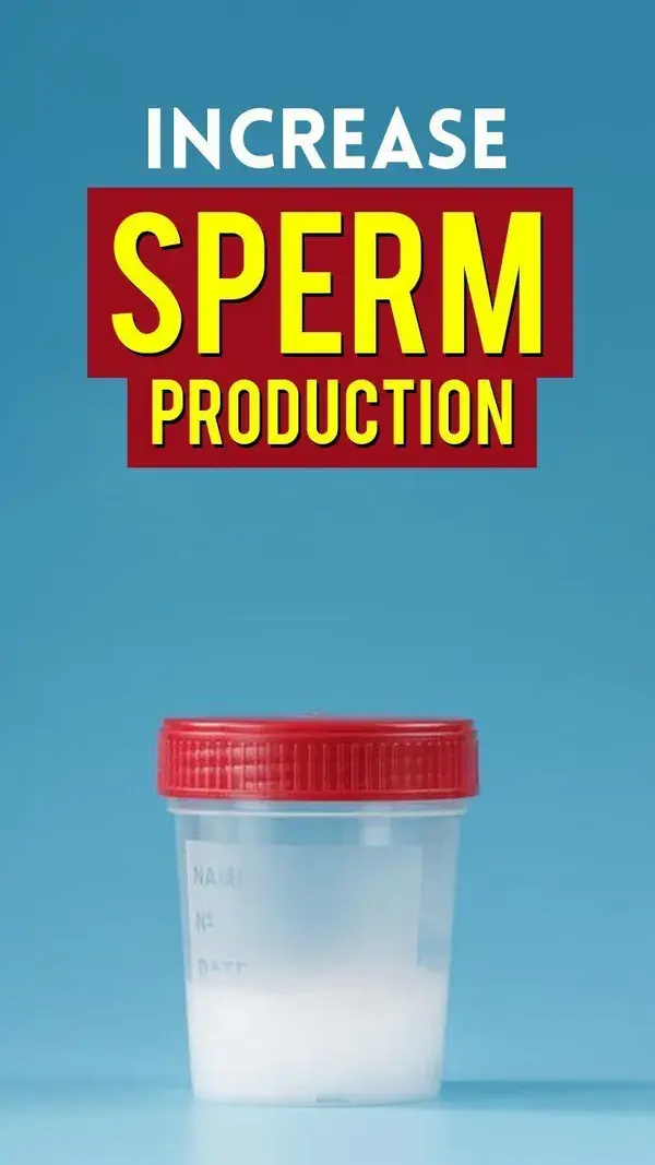 Increase sperm Production