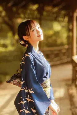 Royal Japanese Dress Fashion