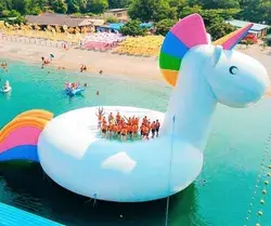 The Giant Unicorn Float Party