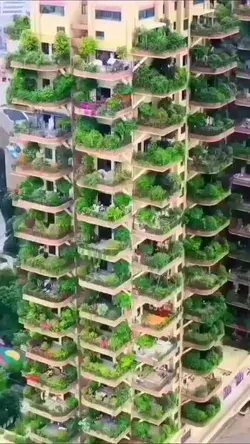 green apartment