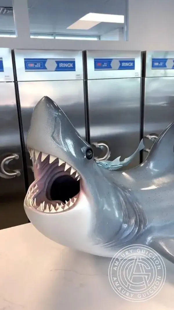 Chocolate Art ,Chocolate Shark ,7,5ft long and 150lbs 100% chocolate