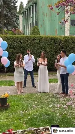 Amazing Gender Announcement Ideas | Gender Reveal Cannons