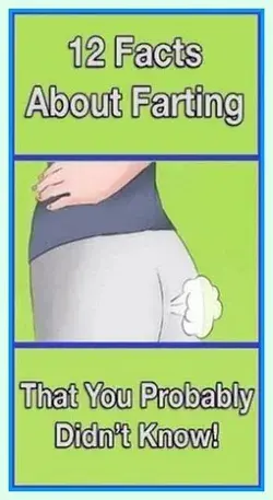 12 Facts About Farting You Probably Didn’t Know!