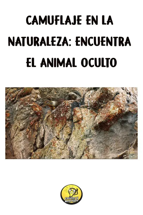 Camuflaje en la naturaleza: Encuentra el animal oculto