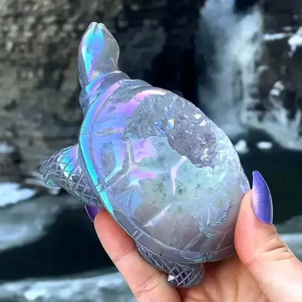 AMAZING Aura Turtle