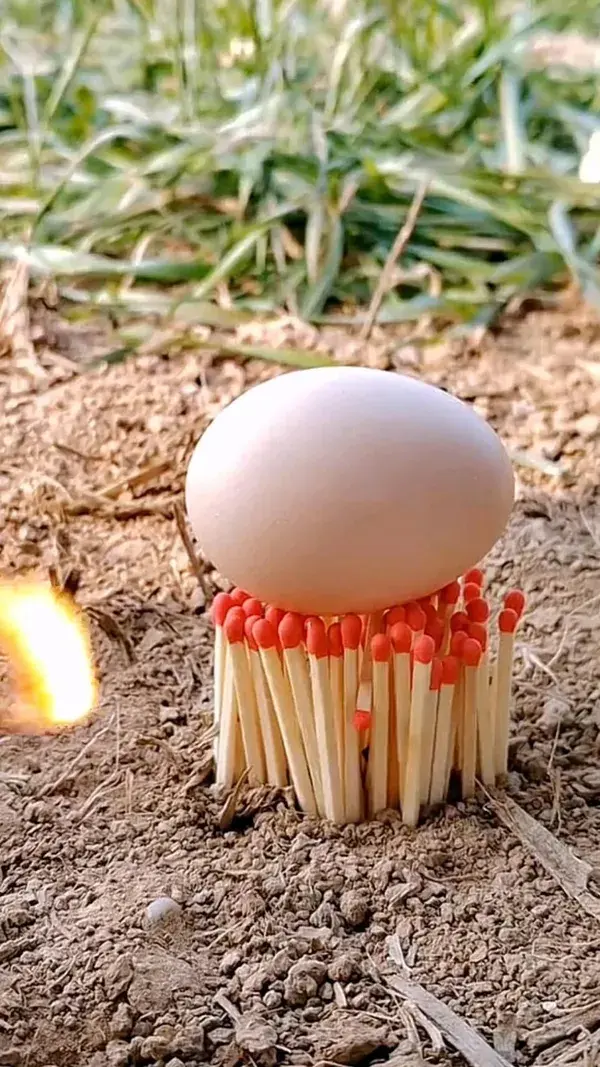 egg and fire