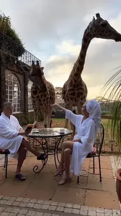 When you mess with the wrong giraffe 🦒