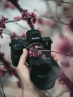 Sony a7III with the Tamron 28-75mm 2.8