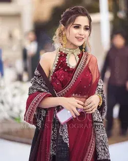 10+ Red Saree Designs for Asian Weddings