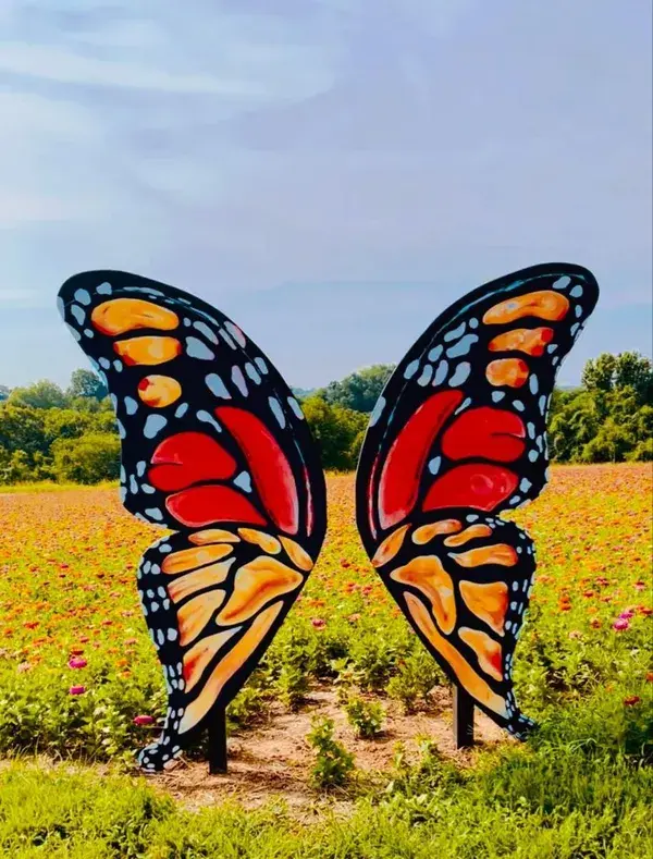 Butterfly display photo op