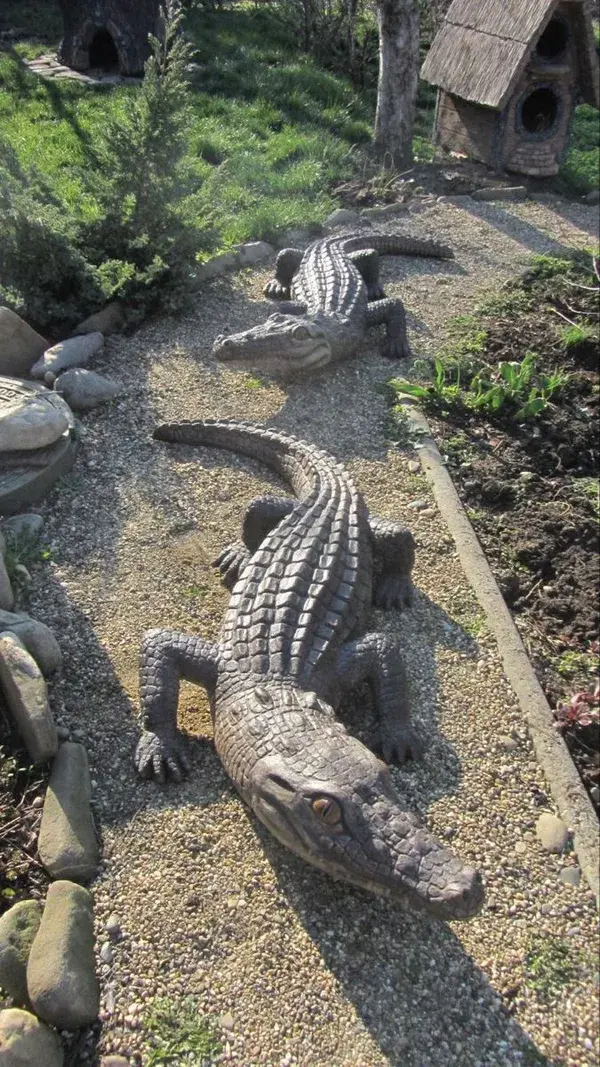 Alligator Eyes: Mesmerizing Close-Ups of This Reptile's Gaze - Alligator Images Alligator Videos