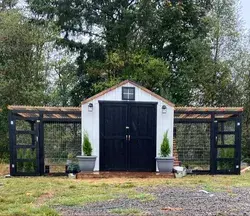 Modern Chicken Shed