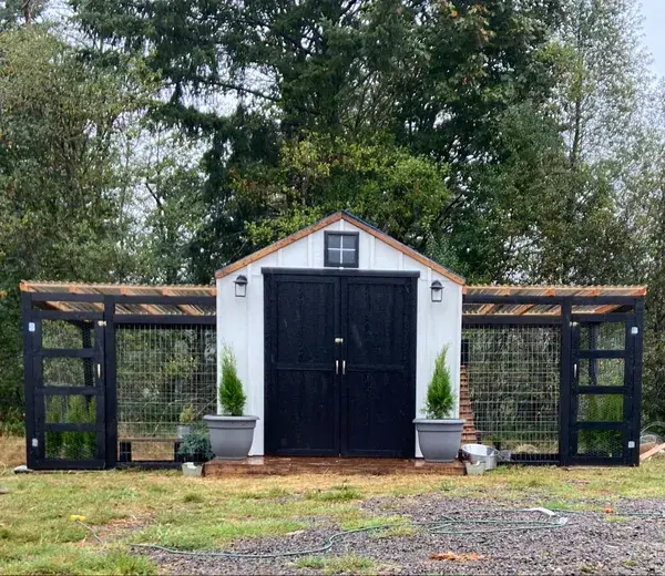 Modern Chicken Shed