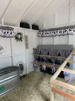 Chicken and Duck Coop