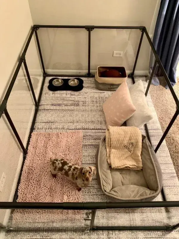 Bunny house bunk beds