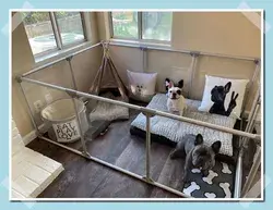 85 Trendy Dog Bedroom Ideas Tricks You Need To See In All Season