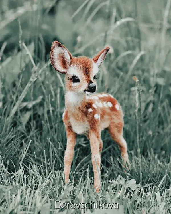 cute baby animals