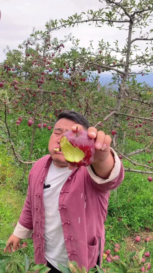 Fruit Hack LoL