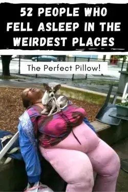 52 people who fell asleep in the weirdest places | Funny photos | Really funny | Funny fails