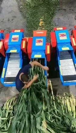 Professional forage chopper machine manufacturer | Powerful maize straw crusher