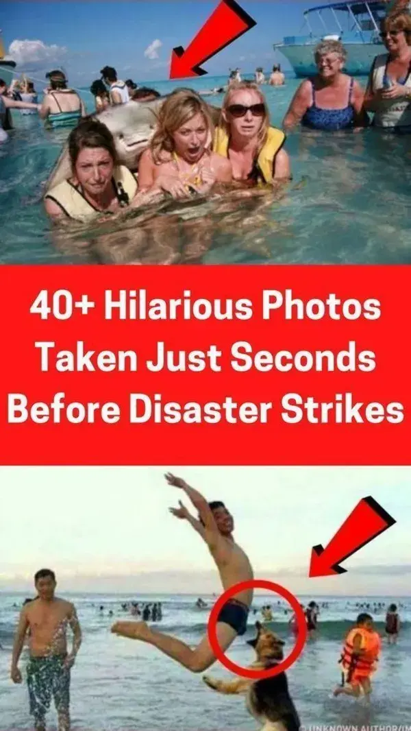 40+ Hilarious Photos Taken Just Seconds Before Disaster Strikes