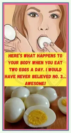 HERE’S WHAT HAPPENS TO YOUR BODY WHEN YOU EAT TWO EGGS A DAY. I WOULD HAVE NEVER BELIEVED