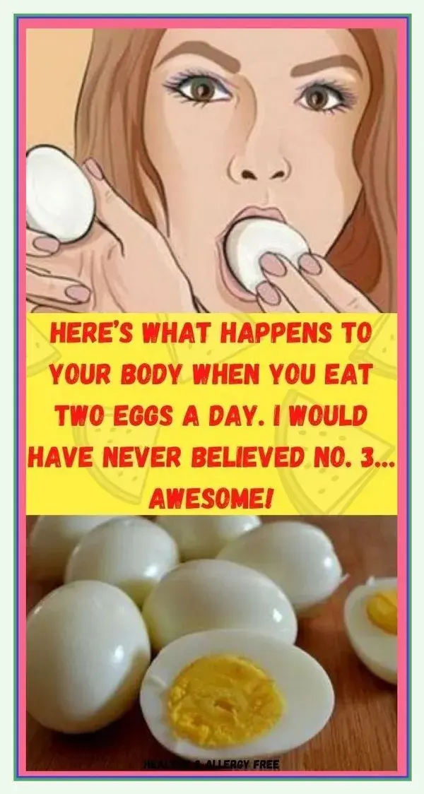 HERE’S WHAT HAPPENS TO YOUR BODY WHEN YOU EAT TWO EGGS A DAY. I WOULD HAVE NEVER BELIEVED