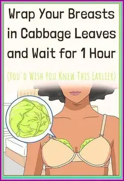 Wrap Your Breasts In Cabbage Leaves And Wait For 1 Hour