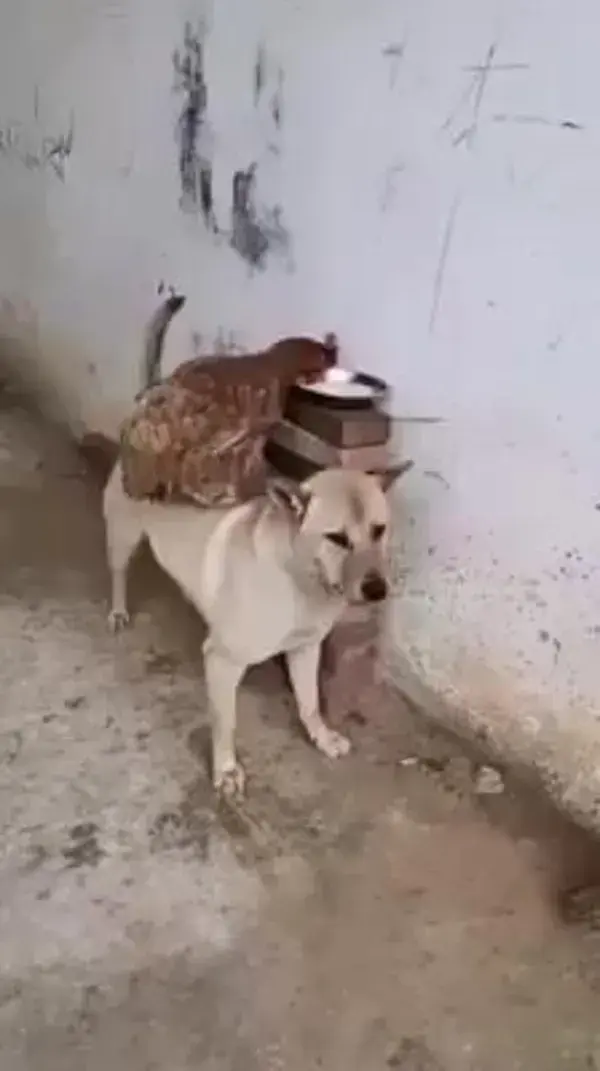 Intense friendship ❤️. 