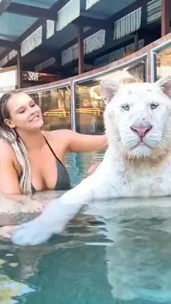 Swiming with lion