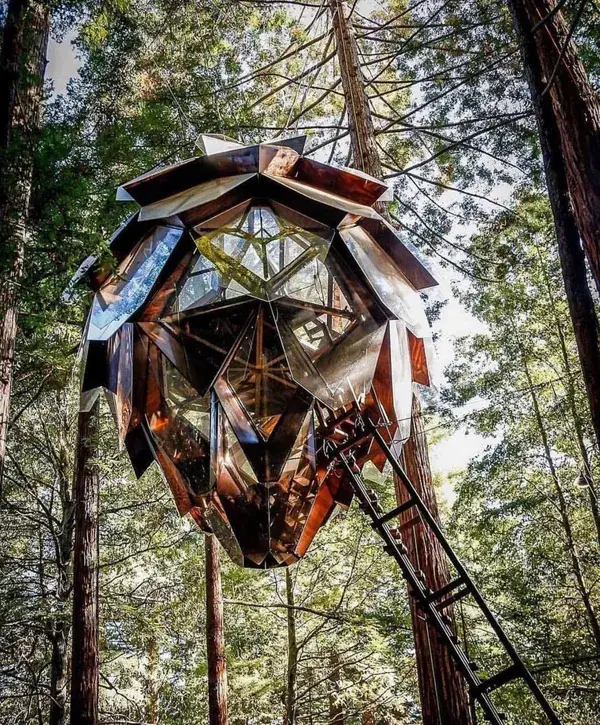 Amazing pine cone treehouse 