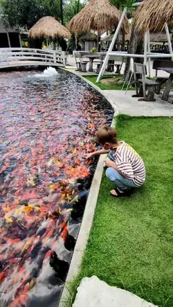 kid playing with fishes in japan