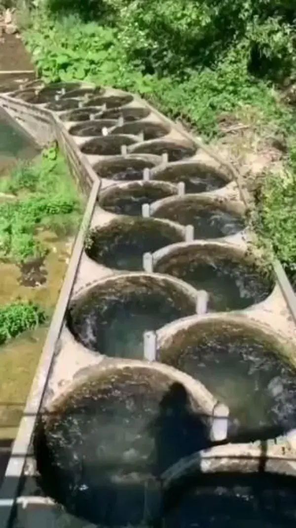 👀🐟 Fish ladder, Switzerland