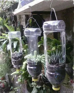 Elegant-Indoor-and-Outdoor-plastic-bottle-garden-ideas-Plastic bottle planter ideas