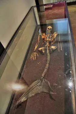 Mermaids are real - Weird things I learned at the Danish National Museum - blogygold