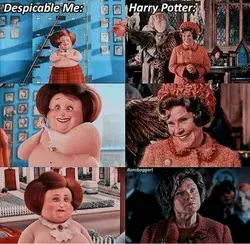 Memes of harry poter