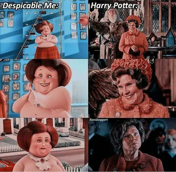 Memes of harry poter