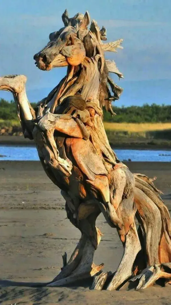 Driftwood made into a horse