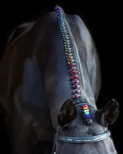 Rainbow braids 😍