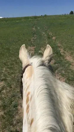 Out in the pasture