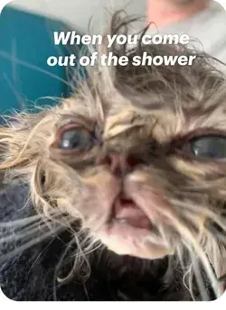 When you come out of the shower
