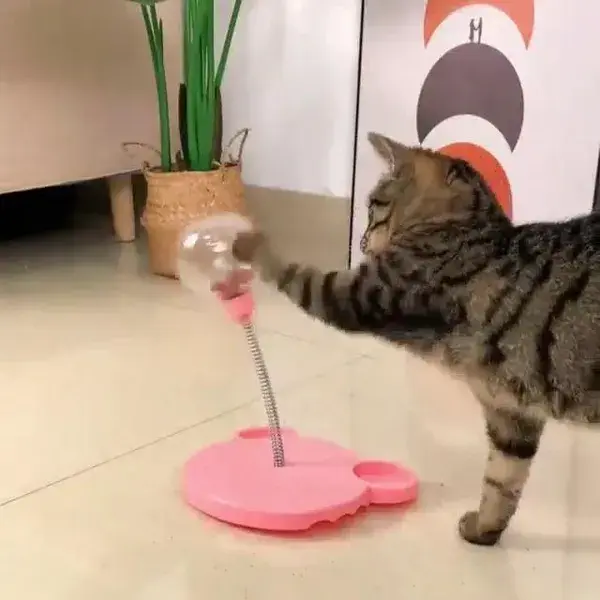 Pet Leaking Food Ball